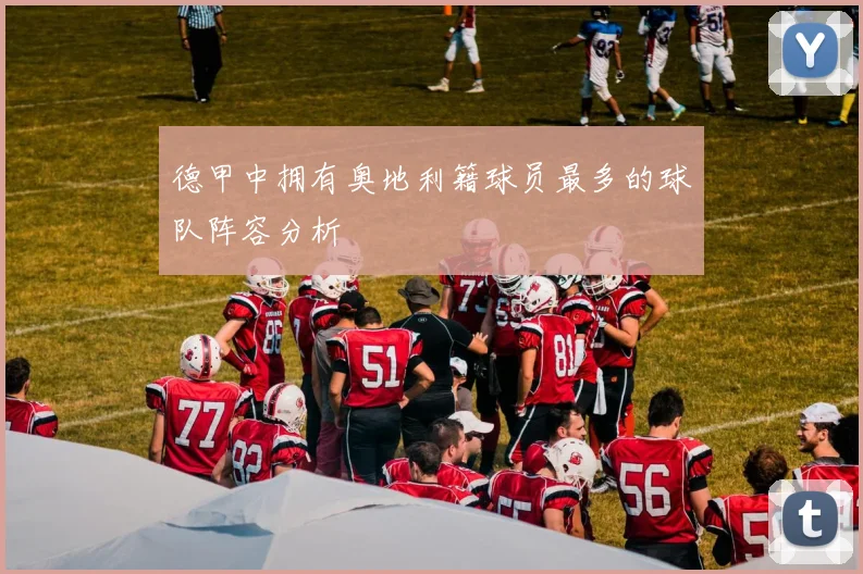 德甲中拥有奥地利籍球员最多的球队阵容分析