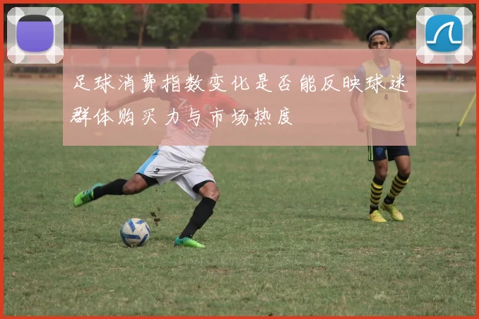 足球消费指数变化是否能反映球迷群体购买力与市场热度