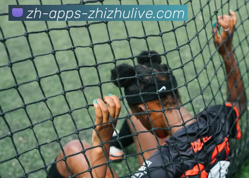 蜘蛛直播品牌故事