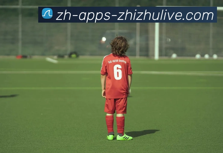 蜘蛛直播服务体系